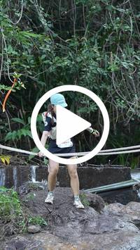 BIB:  <button type="button" onclick="openModal(27706622)" class="btn btn-primary btn-sm float-right" data-toggle="modal" data-target=".modal-high-quality">
                <i class="fa fa-download"></i> Download
                </button>